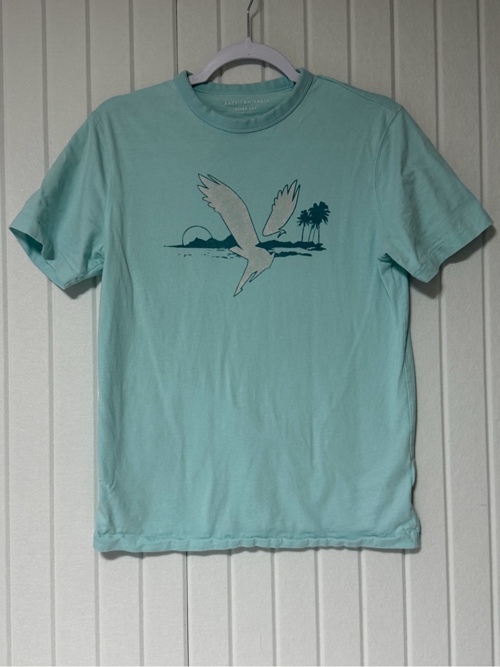 American Eagle Outfitters Light Aqua Graphic Tee